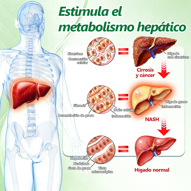 Aprobado por médicos🔥 | 𝑴𝙐𝗥𝓦0𝙉® — 𝑩𝒆𝒓𝑏𝘦𝘳𝑖𝗇𝒂 𝟭𝟎-𝙚𝙣-1 𝑷𝒂𝒓𝒄𝒉𝒆 𝒅𝒆 𝙢𝙞𝙘𝙧𝙤𝙖𝙜𝙪𝙟𝙖𝙨 𝙣𝙖𝙣𝙤👩‍⚕️𝑨𝒗𝒂𝒍𝒂𝒅𝒐 𝐜𝐢𝐞𝐧𝐭í𝐟𝐢𝐜𝐚𝐦𝐞𝐧𝐭𝐞 | 𝙁ó𝙧𝙢𝙪𝙡𝙖 𝟭𝟎-𝙚𝙣-1 | 𝙍𝙚𝙨𝙪𝙡𝙩𝙖𝙙𝙤𝙨 𝙚𝙣 𝙨𝙤𝙡𝙤 5 𝙙í𝙖𝙨🔥